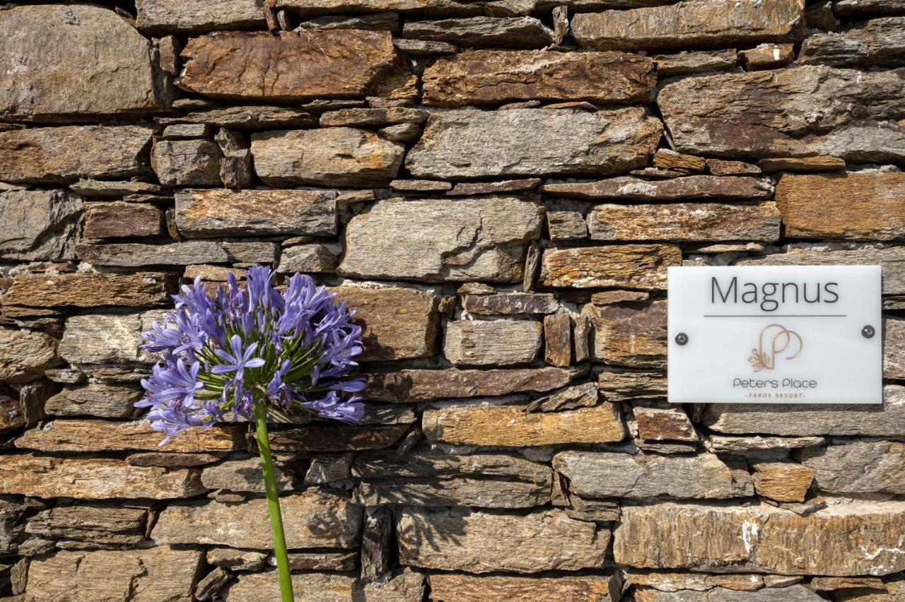 Peters Place - Paros Resort パラスポロス エクステリア 写真